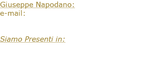 Giuseppe Napodano: 348.3735454 e-mail: studiotdr.napodano@gmail.com Siamo Presenti in: Mantova, Via Principe Amedeo 17 Fax: 0376 185 68 30 